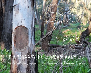 Scar Trees Book